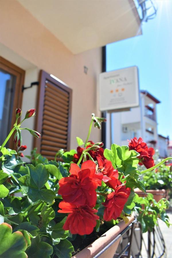 Apartments&Rooms Ivana Rovinj Kamer foto