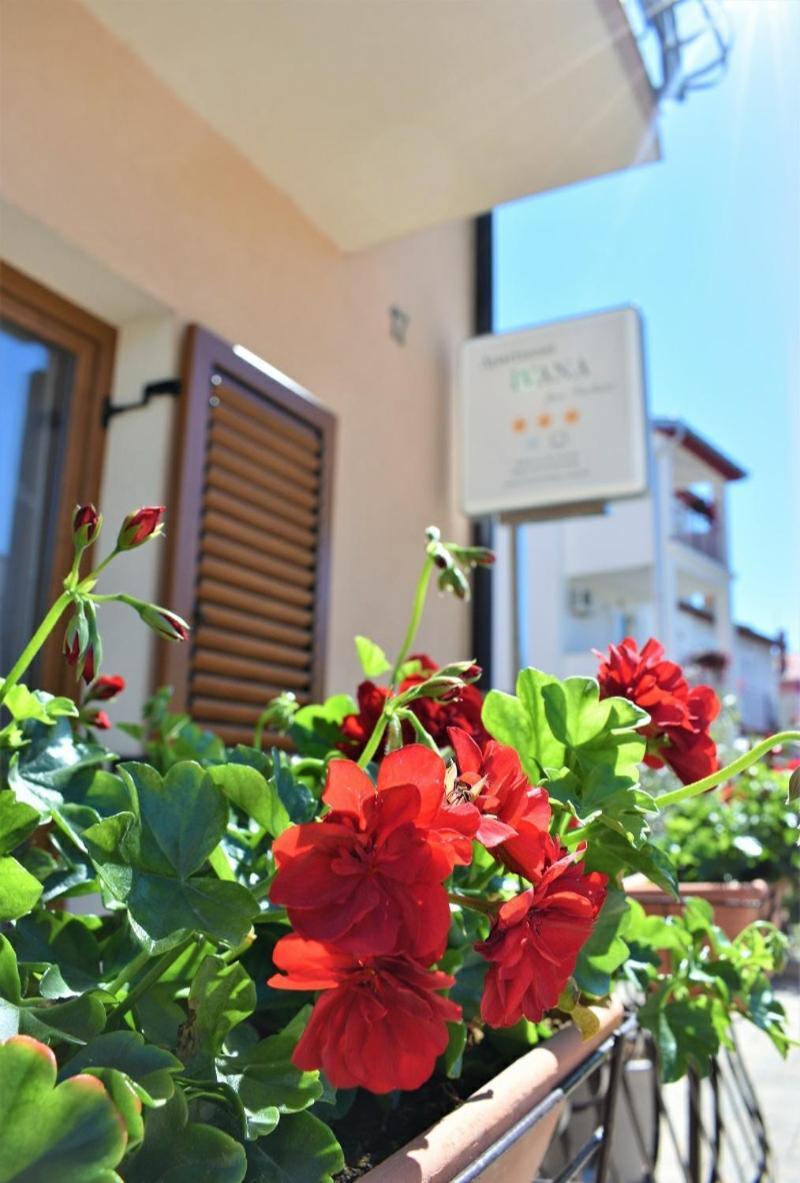 Apartments&Rooms Ivana Rovinj Kamer foto